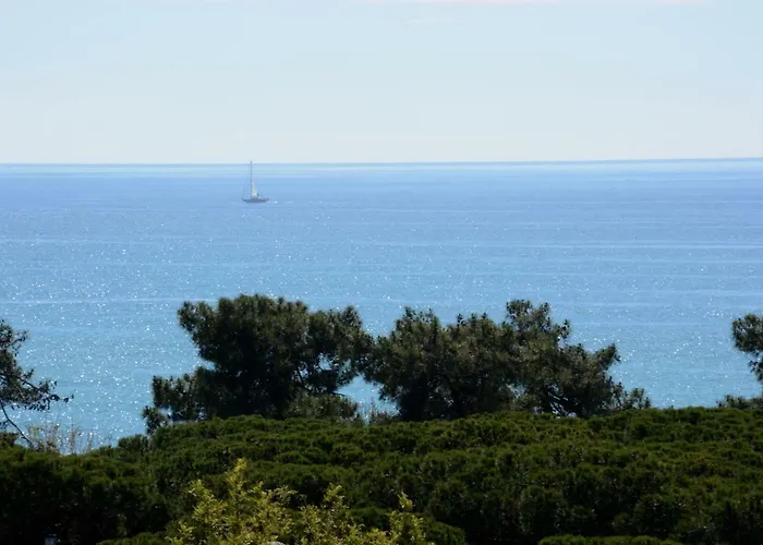 Don Angel & & Padel- Adults Recommended 3*