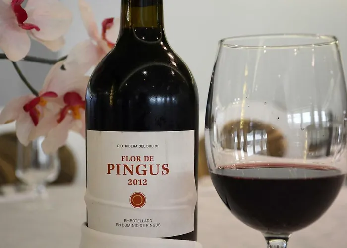 Don Angel & & Padel- Adults Recommended